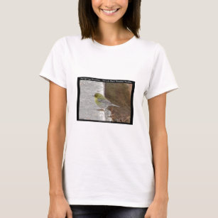 Hot Springs Mt Female Black Throated Warbler Gifts T-Shirt