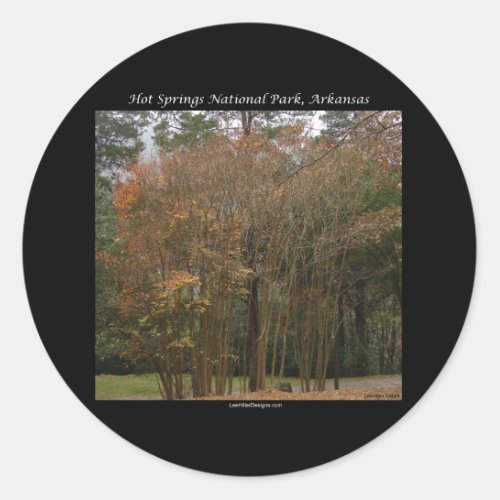 Hot Springs National Park AR Above the Promenade Classic Round Sticker