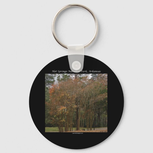 Hot Springs National Park, AR Above the Promenade Keychain (Front)