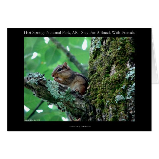 Hot Springs National Park, AR Chipmunk Snack Gifts (Front Horizontal)