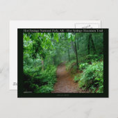 Hot Springs National Park, AR Fading Fog Gifts Postcard (Front/Back)