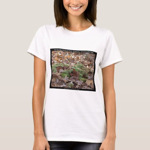 Hot Springs National Park AR _ Honeysuckle Trail T_Shirt