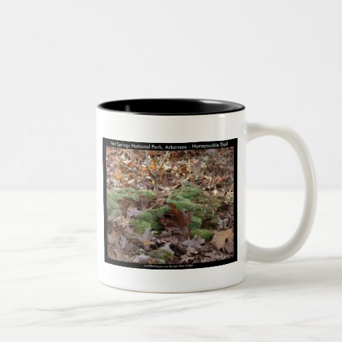 Hot Springs National Park AR _ Honeysuckle Trail Two_Tone Coffee Mug