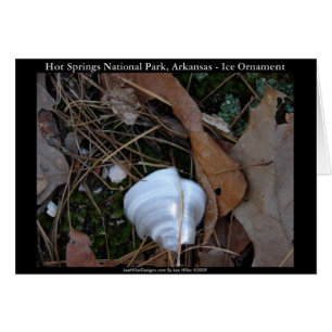 Hot Springs National Park, AR - Ice Ornament Gifts