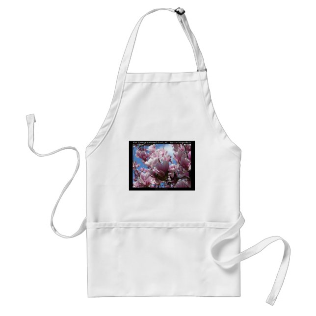 Hot Springs National Park AR Saucer Magnoia Gifts Adult Apron (Front)