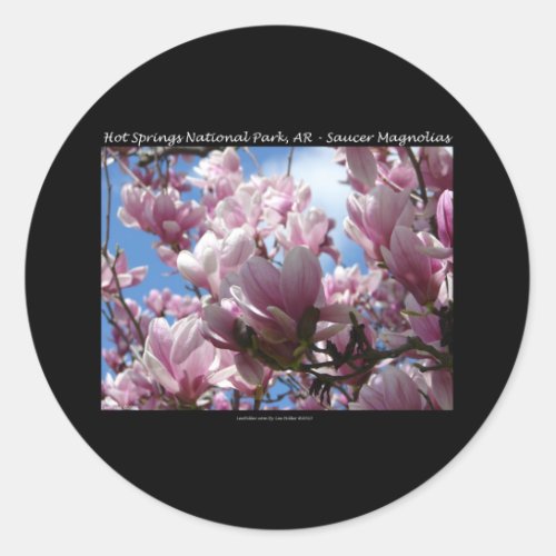 Hot Springs National Park AR Saucer Magnoia Gifts Classic Round Sticker