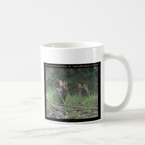 Hot Springs National Park AR  Wild Rabbits Gifts Coffee Mug