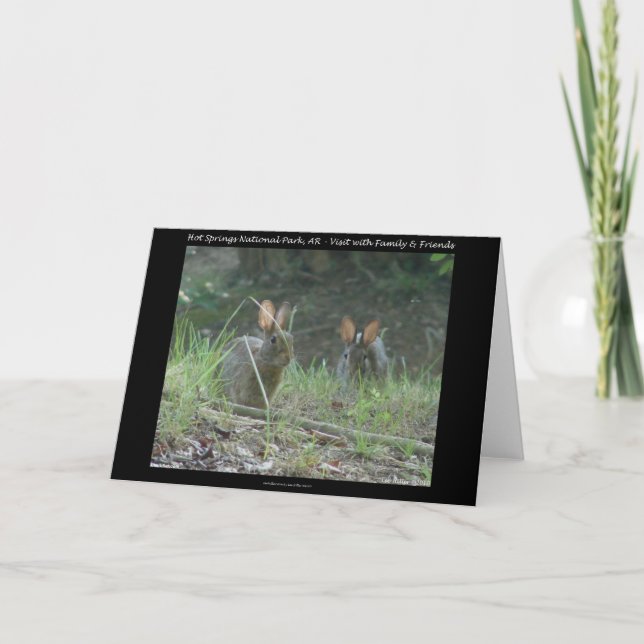 Hot Springs National Park, AR  Wild Rabbits Gifts Holiday Card (Front)