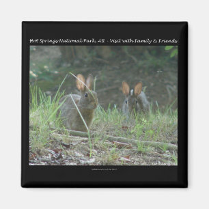 Hot Springs National Park, AR Wild Rabbits Gifts Magnet