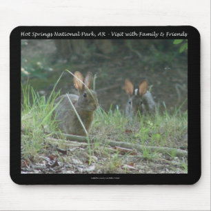 Hot Springs National Park, AR  Wild Rabbits Gifts Mouse Pad