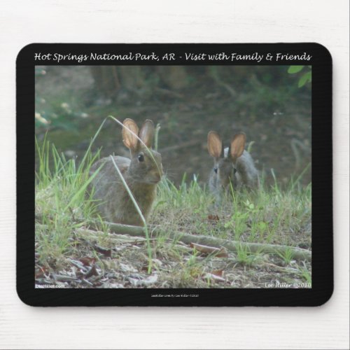 Hot Springs National Park AR  Wild Rabbits Gifts Mouse Pad