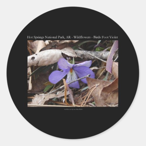 Hot Springs National Park AR Wild Violets Gifts Classic Round Sticker