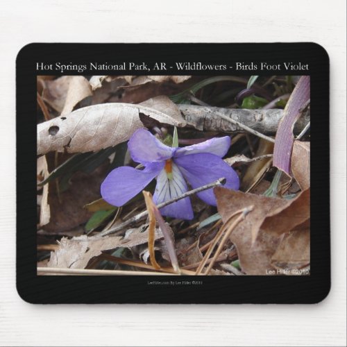 Hot Springs National Park AR Wild Violets Gifts Mouse Pad