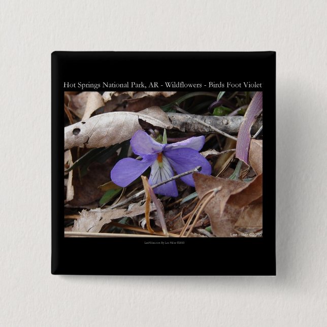 Hot Springs National Park, AR Wild Violets Gifts Pinback Button (Front)