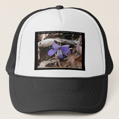 Hot Springs National Park AR Wild Violets Gifts Trucker Hat