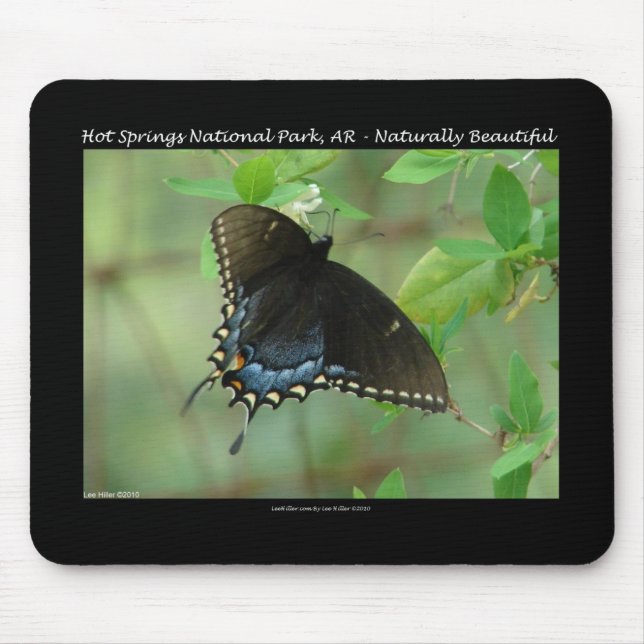 Hot Springs National Park Swallowtail Butterfly Mouse Pad (Front)