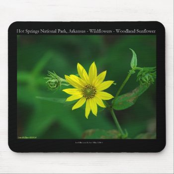Hot Springs National Park Woodland Sunflower Gifts Mouse Pad by leehillerloveadvice at Zazzle