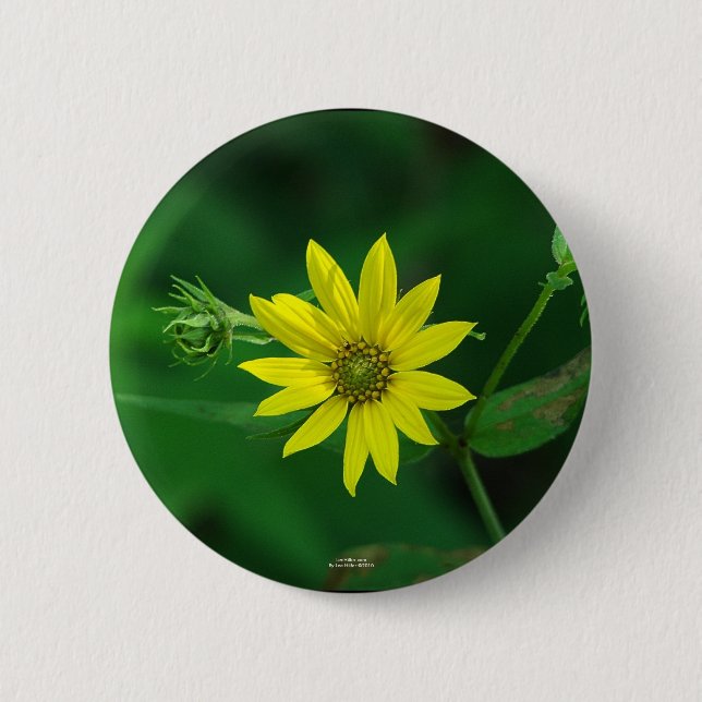 Hot Springs National Park Woodland Sunflower Gifts Pinback Button (Front)