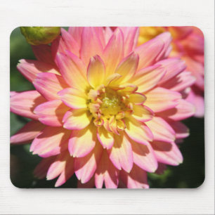 Hot yellow pink Dahlia Flower Mouse Pad