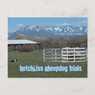 Hotchkiss Sheepdog Trials Postcard