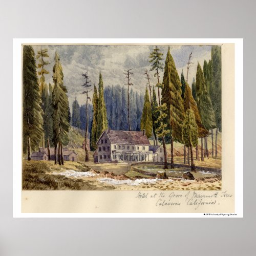Hotel at the Grove of Mamoth Trees Poster