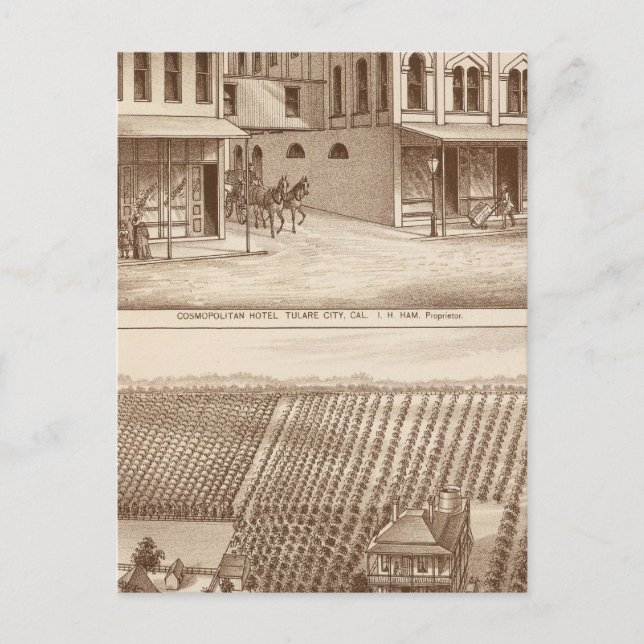 Hotel, vineyard, Tulare Postcard (Front)