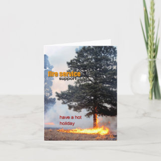 hotholiday1, fss_logo1 holiday card