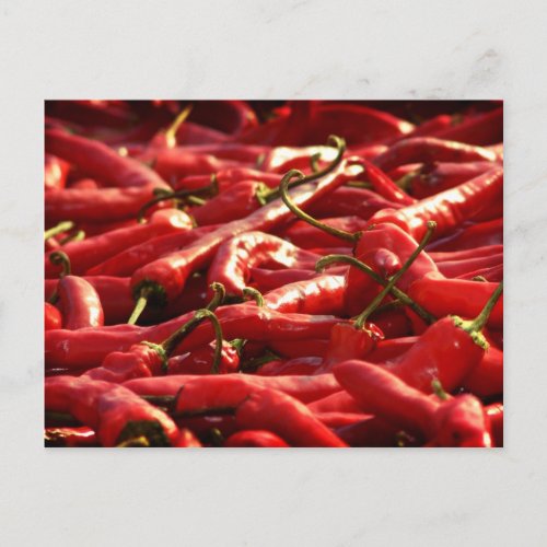 Hotness _ Red Hot Chillies Postcard