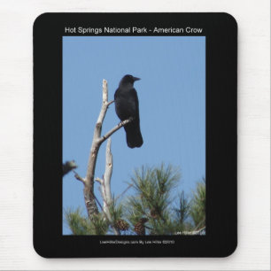 Hots Springs National Park, AR - American Crow Mouse Pad