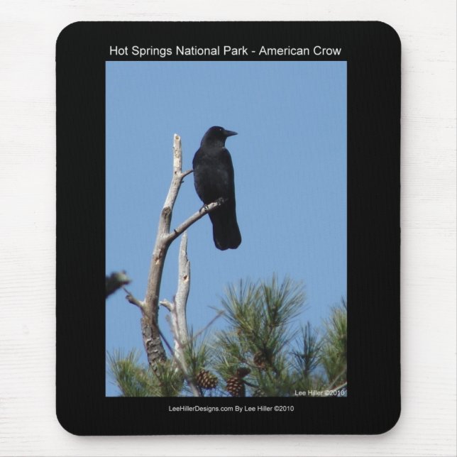 Hots Springs National Park, AR - American Crow Mouse Pad (Front)