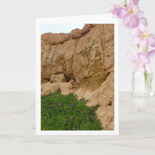 Hottentot Fig, Ice Plant in Canyon Card