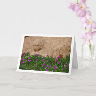 Hottentot Fig, Ice Plant in Canyon Card