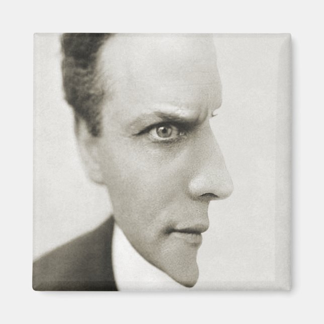 Houdini Optical Illusion Magnet (Front)