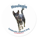 Houlagin
