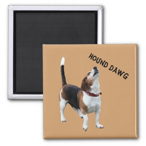 Hound Dawg Beagle Funny Dog Magnet