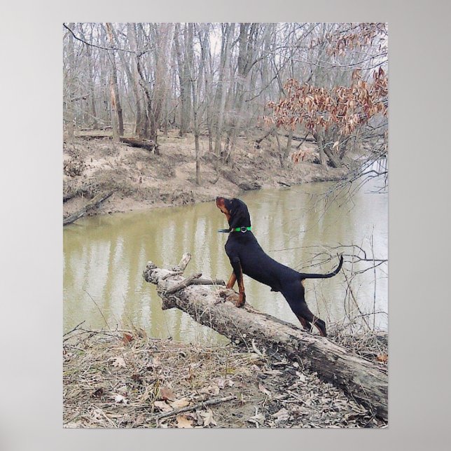 Hound Dog At The River Poster (Front)