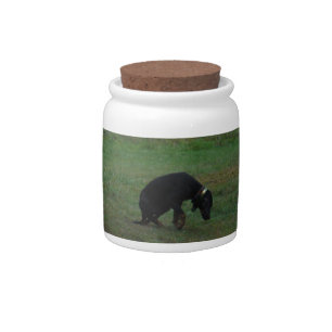 Hound dog giving up the chase candy jar