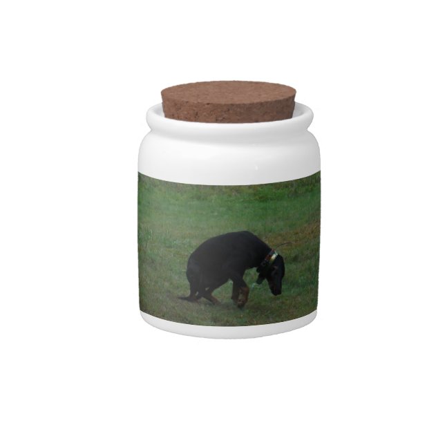 Hound dog giving up the chase candy jar (Front)