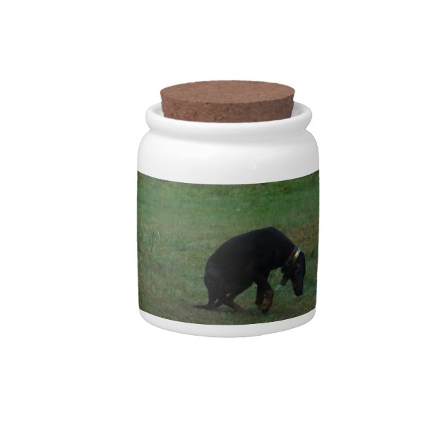 Hound dog giving up the chase candy jar (Front)