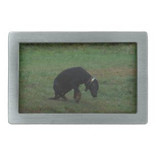 Hound dog giving up the chase rectangular belt buckle