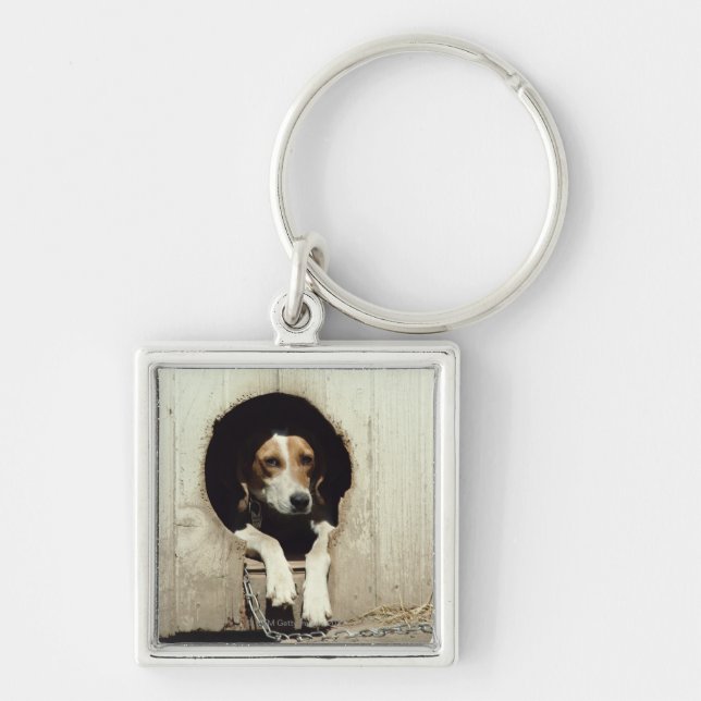 Hound dog in dog house keychain (Front)