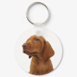 Hound Keychain