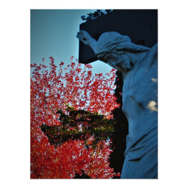 "Hound of Heaven" Photo Print (Front)