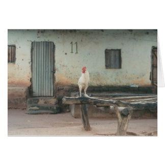 House #11, Gambia Village Series Cards