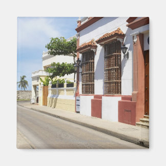 House at the roadside magnet