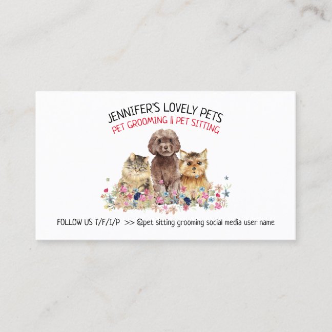 House Call Pet Grooming Service Business Card