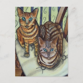 House Cats Postcard by dreamlyn at Zazzle