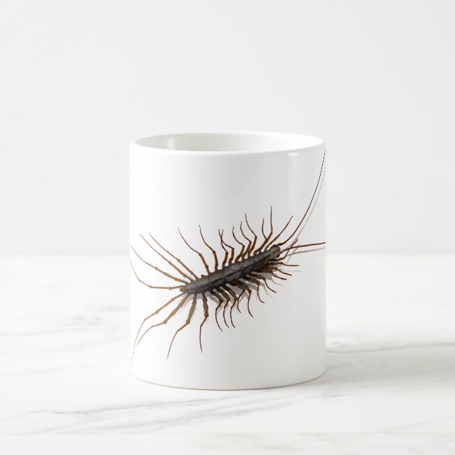 HOUSE CENTIPEDE. COFFEE MUG (Center)