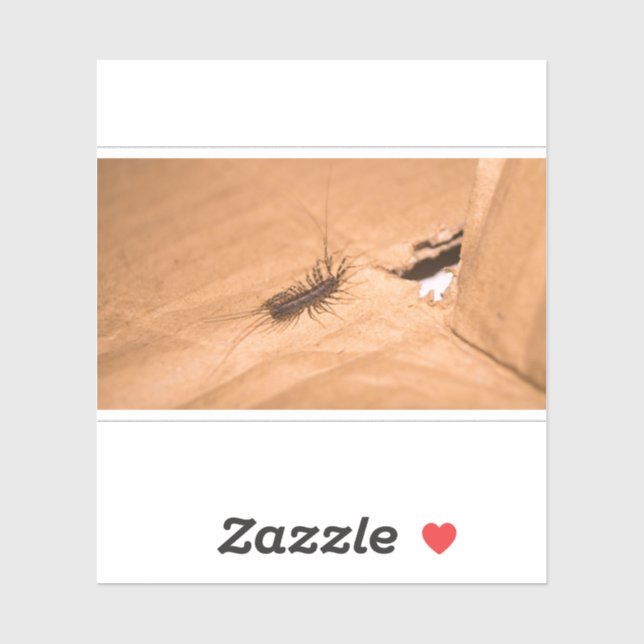 House Centipede Sticker (Sheet)