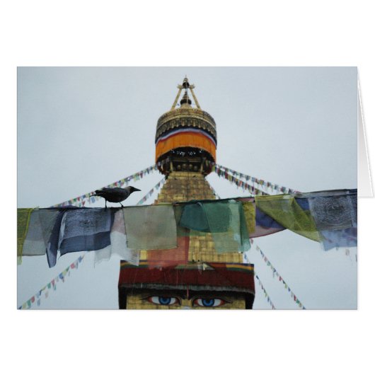 House Crow at Prayers Bodha Stupa, Nepal Cards (Front Horizontal)